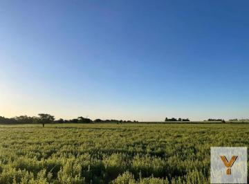 Terreno · 10000m² · Terreno en Venta - 10.000 m² - San Antonio de Areco