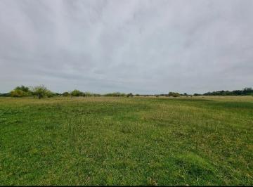 Campo · 788000ha · 3 Ambientes · Campo en Venta - 78.8 Ha - General Rodríguez