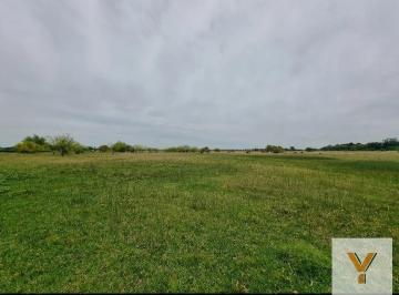 Campo · 788000ha · 3 Ambientes · Campo en Venta - 78.8 Ha - General Rodríguez