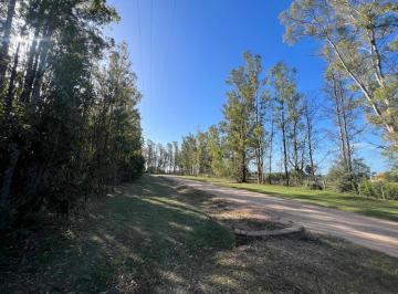 Terreno · 10000m² · Terreno en Venta - 10.000 m² - El Paraíso, Ramallo
