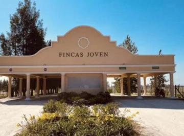 Terreno · 620m² · Terreno en Venta - 620 m² - Finca Joven