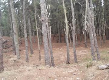 Terreno · 950m² · Terreno en Venta - 950 m² - Serene, Villa Robles, Pinamar