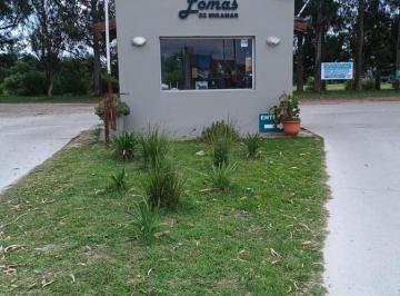Terreno · 450m² · Terreno en Venta - 450 m² - Miramar