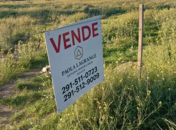Campo , Carmen de Patagones · Campo en Venta de 890 m² Ubicado en Stroeder