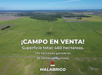 Campo · 459ha · Campo Mixto en Malabrigo (Santa Fe)