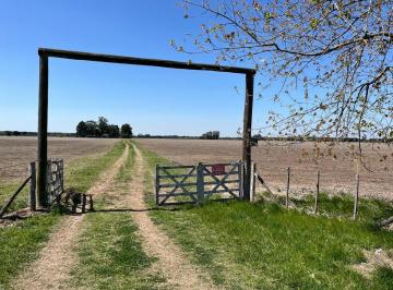 Campo · 56ha · Campo Agricola en Venta en Baradero