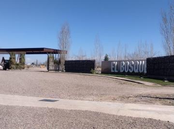 Terreno , Rodeo del Medio · Venta Lote Barrio El Bosque 1