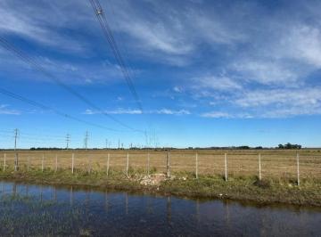 Campo · 480000m² · Campo en Venta - 480.000 m² - Olavarría