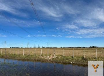 Campo · 480000m² · Campo en Venta - 480.000 m² - Olavarría