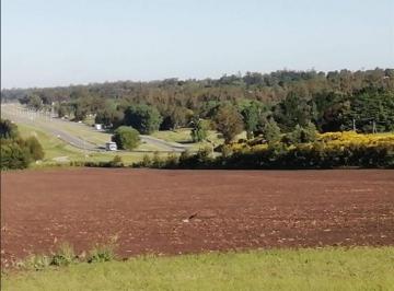 Terreno , Mar del Plata · Campo de 18 Hectáreas en Esquina Sobre Ruta 226 Km 22 Zona Sierra de Los Padres
