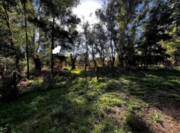 GNP-GNP-1018_2 · Lote en Venta Frente a La Laguna de Chascomus