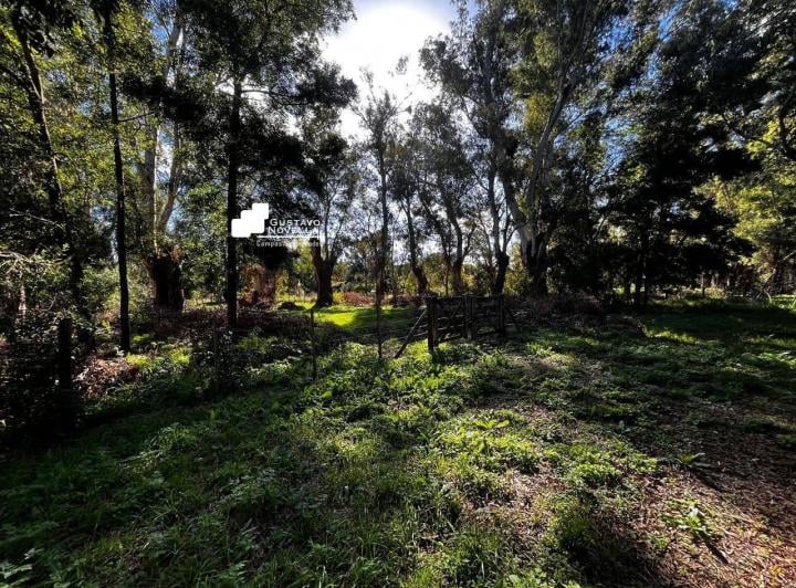 Terreno · 890m²