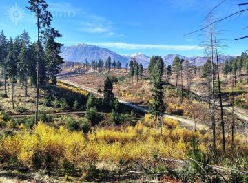 Terreno · 9000m² · Terrenos de 9.000 m² en Lago Puelo, Paraje Radal (Fc - 235)
