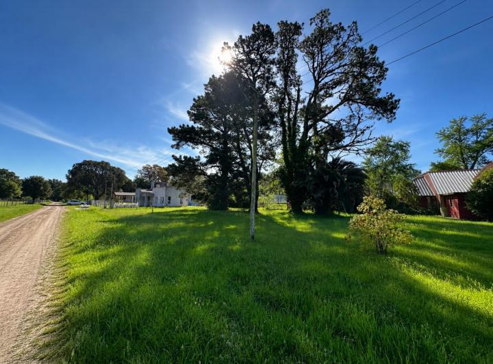 Terreno · 1191m²