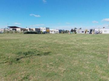 Terreno , Pilar · Santo Tomás - Lote 204