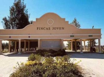 Terreno · 857m² · Lote Fincas Joven 857 m² Venta Excelente Ubicación
