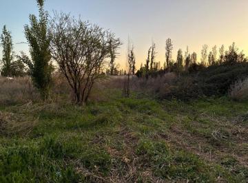 Terreno · 2500m² · Lote en Venta 2500 m², Maipu Coquimbito