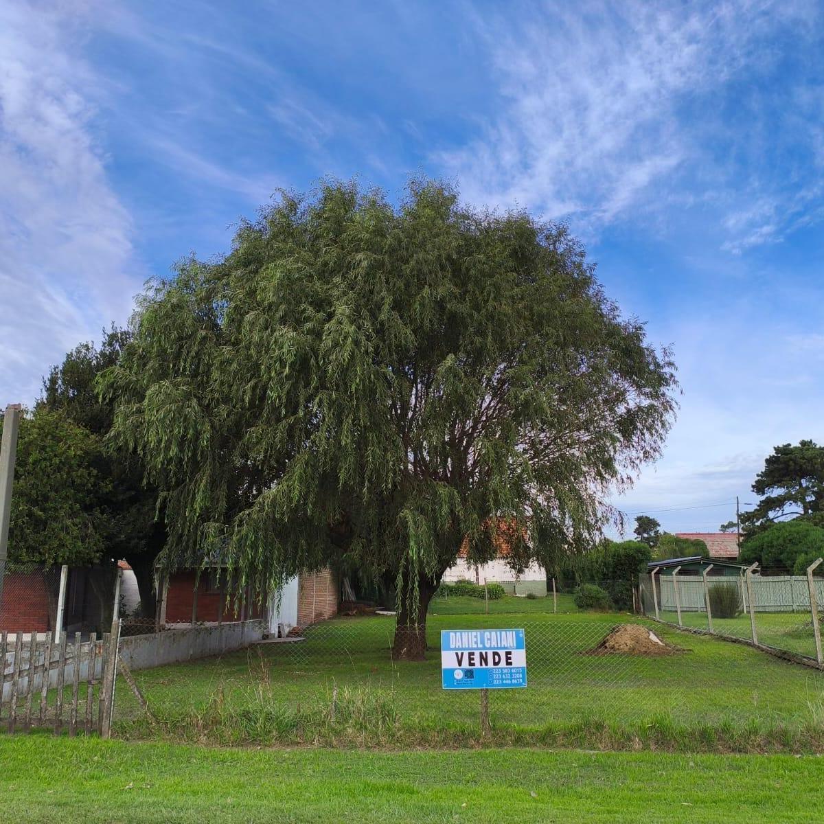 Lote 506m² en San Jacinto sobre calle principal asfaltada