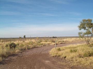 Campo · 10ha · Venta Finca - Chacra con Pozo Mendoza