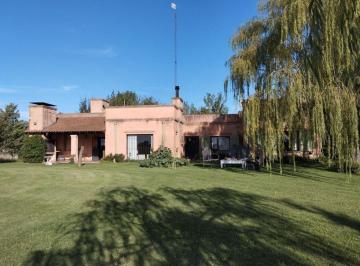 Quinta vacacional de 4 ambientes, Coronel Suárez · Venta Quinta Coronel Suárez 3 Dorm 1 Suite 2 Bños Galería Coch 2 Autos Pileta Grande
