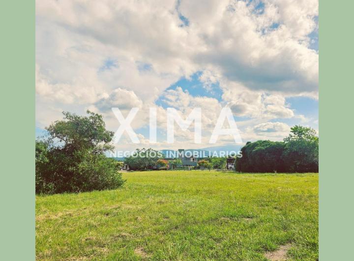 Terreno · 3716m²