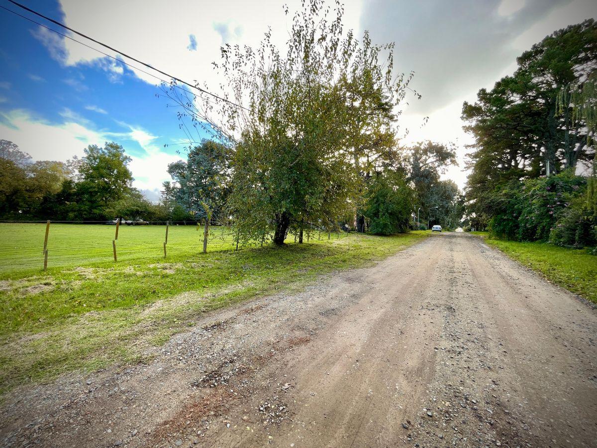 Rosales & La Pampa, Los Horneros, Tandil