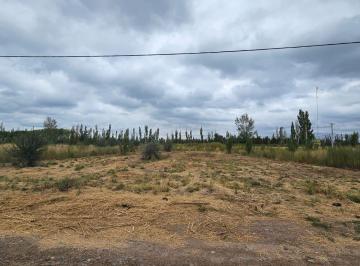 Terreno · 1015m² · Venta - Terreno 1015 m² - F. Oro - La Rambla