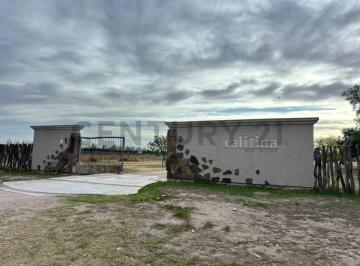 Campo · 2m² · Venta de Campo de 2.7 Ha en San Rafael Mendoza. Id:
