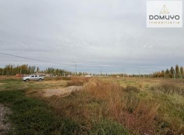 Terreno · 300m² · Terreno en Cinco Saltos