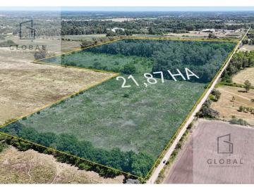 Campo en Venta de 5 ambientes Pilar · Campo en Pilar 21,87 Ha Ideal Polo o Desarrollo