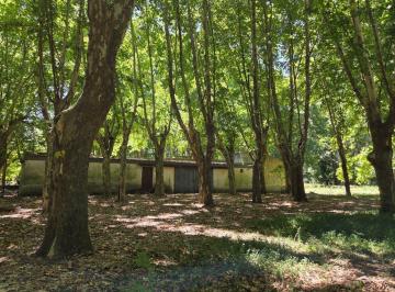 Campo · 218700ha · 5 Ambientes · Campo en Pilar 21,87 Ha Ideal Polo o Desarrollo