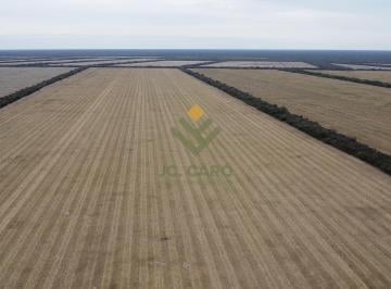 Campo · 48980000ha · Campo Agrícola en Venta en Embarcación