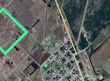 Campo · 20ha · Venta Chacra 20 Hectáreas en de La Garma