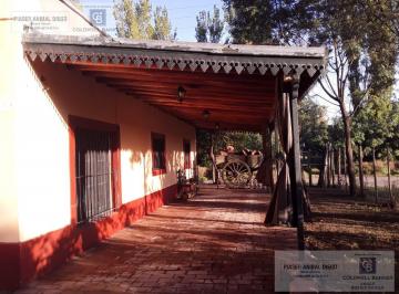 Campo · 241m² · 6 Ambientes · 2 Cocheras · Finca de 8 Ha + Casona de Campo