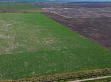 Campo · 7100000m² · Campo en Villa Angela