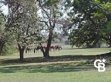 Campo · 154480m² · Campo en Matices Club de Campo