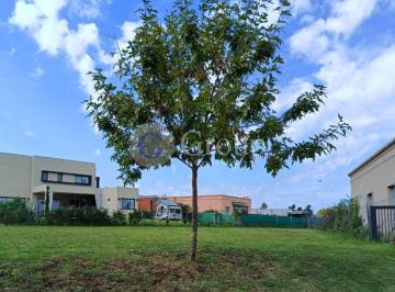 Terreno · 618m² · Lote en Venta en Santa Lucia, Pilar del Este