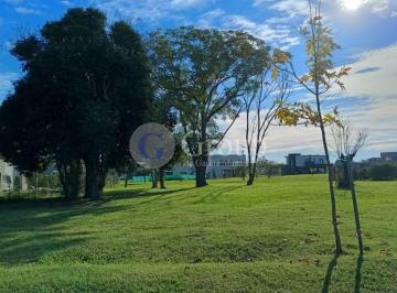 Terreno · 525m² · Lote Central en Venta en Santa Lucia, Pilar del Este
