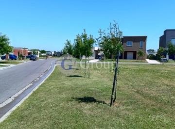 Terreno · 508m² · Lote en Venta en Santa Lucia, Pilar del Este, Pilar