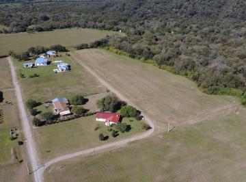 Terreno · 4946m² · Lote en Venta Las Cortaderas - Tapia