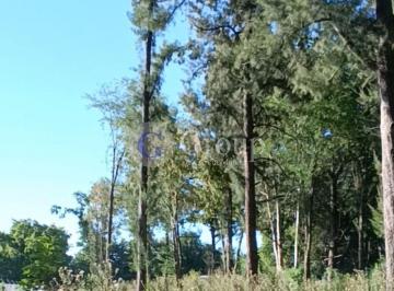 Terreno · 675m² · Terreno Lote en Venta en Robles del Monarca, Pilar, G. B. a. Zona Norte