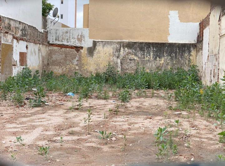Terreno · 310m²