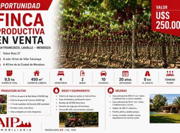 Campo · 200m² · 8 Ambientes · 10 Cocheras · Finca - Lavalle