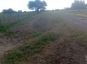 Campo , Garza · Rancho en Venta con 1150 Ha en Garza