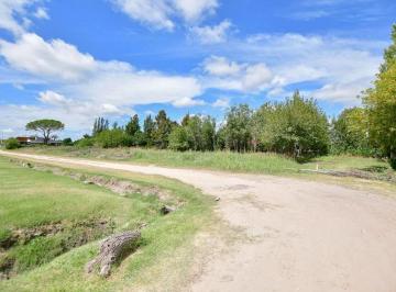 Terreno · 500m² · Lote en Venta Gorina Complejo El Alamo