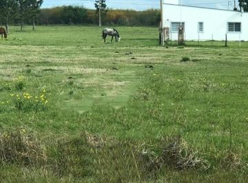Terreno · 475m² · Terreno en Venta - 475 m² - Gualeguaychú, Entre Ríos