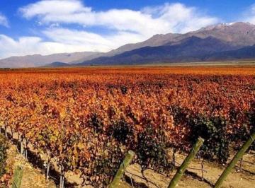 Campo 24ha Venta · Finca y Bodega en Vista Flores