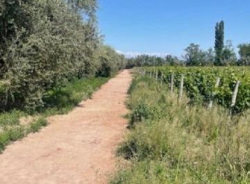 Campo , Maipú · Finca en Maipú