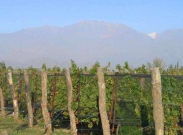 Campo 26ha Venta · Finca en Eugenio Bustos
