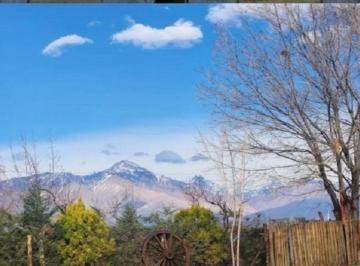 Campo Venta USD 7.000.000 · Finca y Bodega en Tupungato